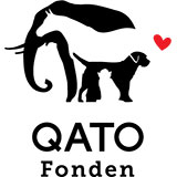 Logo-Qato Foundation